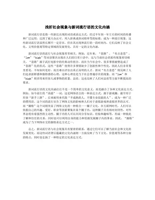 浅析社会现象与新词流行语的文化内涵