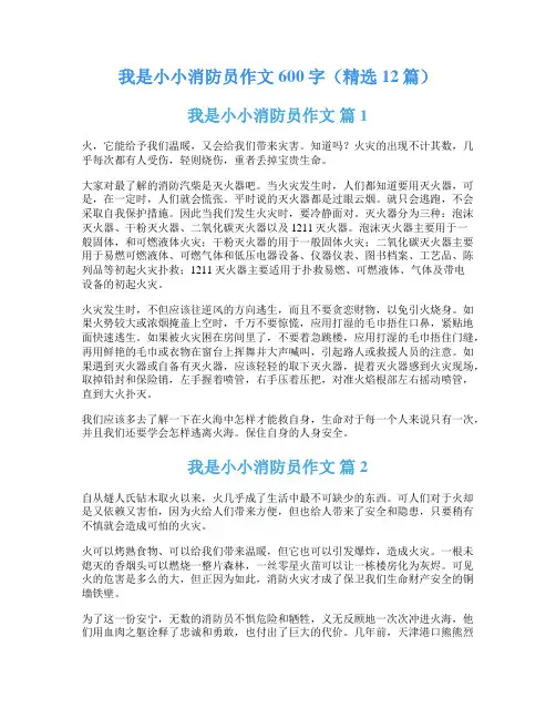 我是小小消防员作文600字(精选12篇)