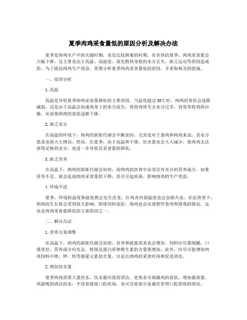 夏季肉鸡采食量低的原因分析及解决办法
