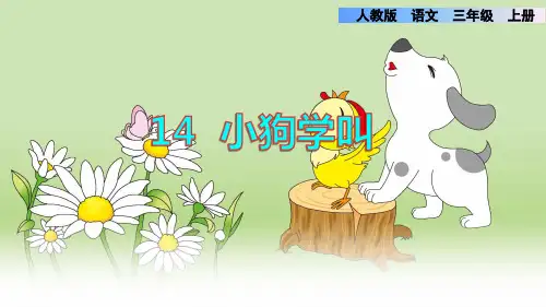 部编人教版小学三年级语文上册《小狗学叫》优秀课件