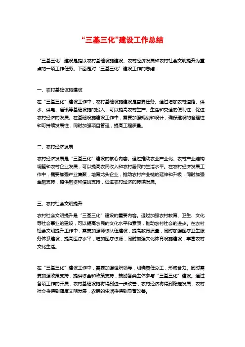 “三基三化”建设工作总结