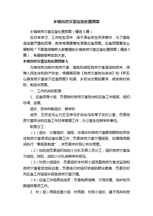 乡镇自然灾害应急处置预案