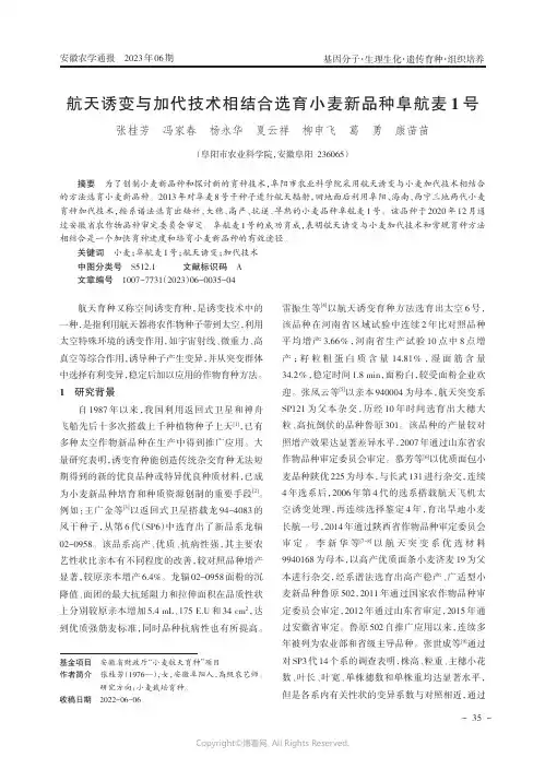 航天诱变与加代技术相结合选育小麦新品种阜航麦1号