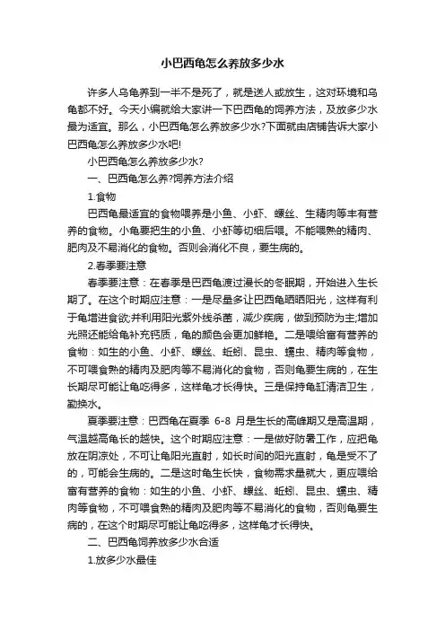 小巴西龟怎么养放多少水