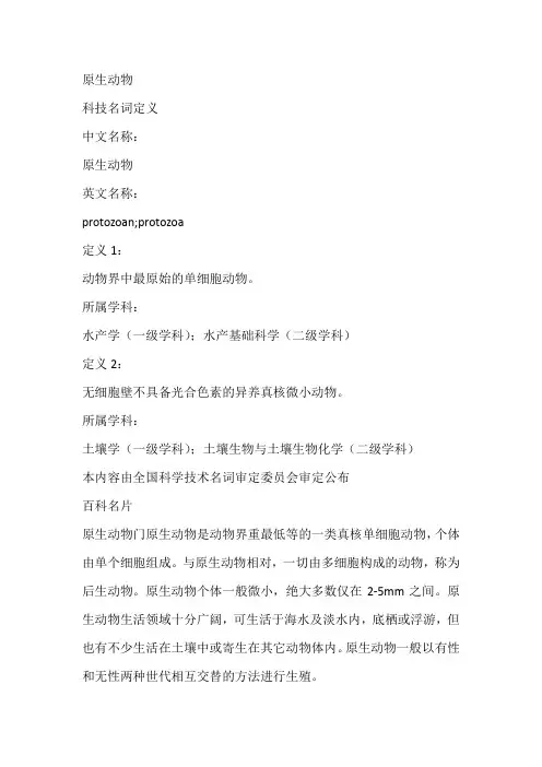 原生动物