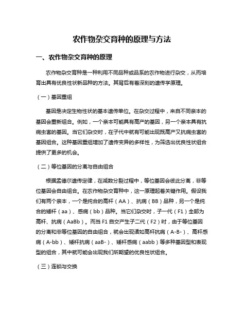 农作物杂交育种的原理与方法