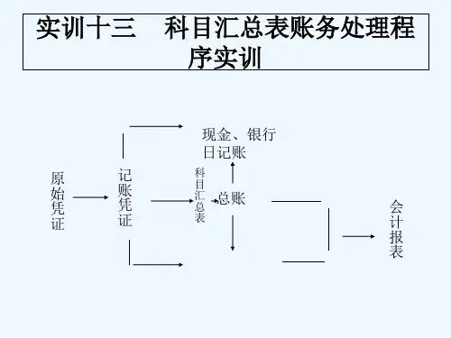 实训十三,科目汇总表 PPT