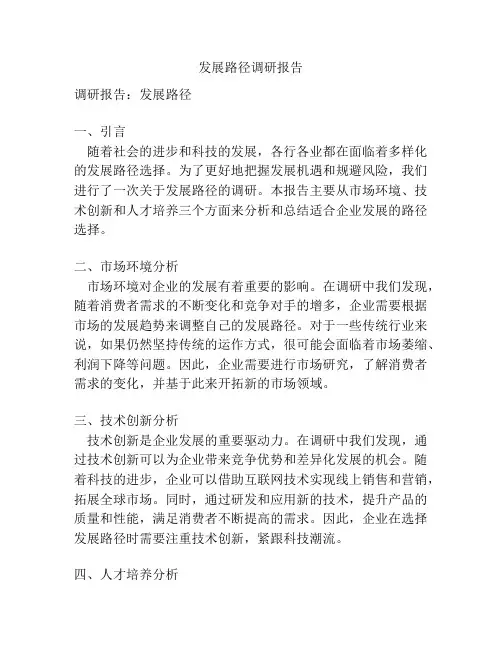 发展路径调研报告