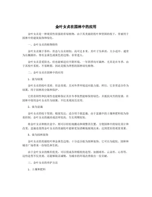 金叶女贞在园林中的应用