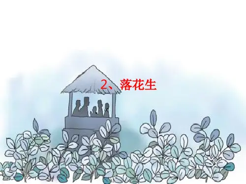 统编版五年级语文上册第2课落花生课件(14张PPT)