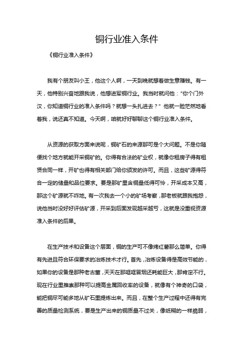 铜行业准入条件