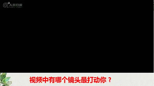 《敬畏生命》精品PPT课件道德与法治课件4