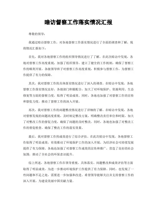 暗访督察工作落实情况汇报