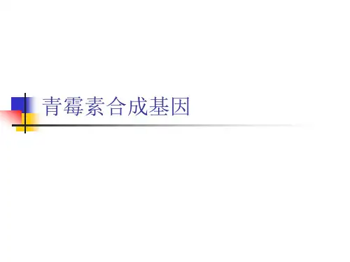 青霉素合成基因