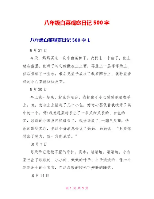 八年级白菜观察日记500字