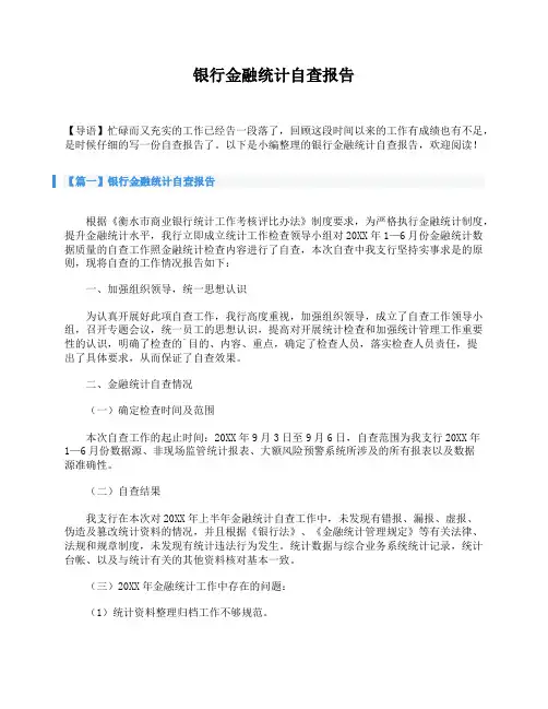 银行金融统计自查报告