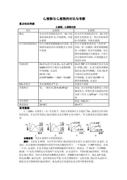 高二生物C3植物与C4植物的对比与考察