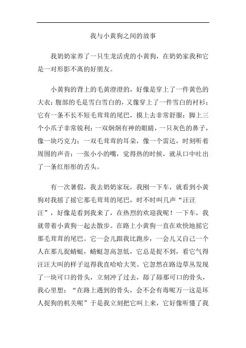 我与小黄狗之间的故事
