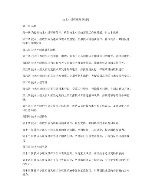 技术小组管理规章制度