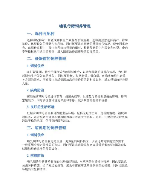 哺乳母猪饲养管理