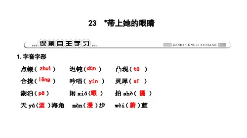 2019年春人教部编版七年级下册语文习题课件：23 带上她的眼睛(共14张PPT)