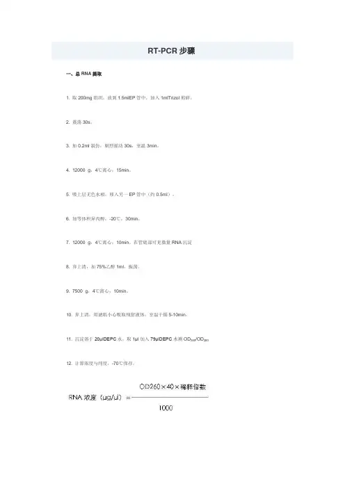 RT-PCR操作步骤