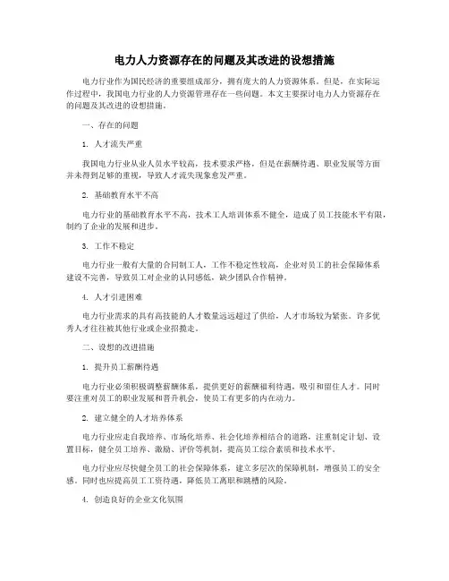 电力人力资源存在的问题及其改进的设想措施