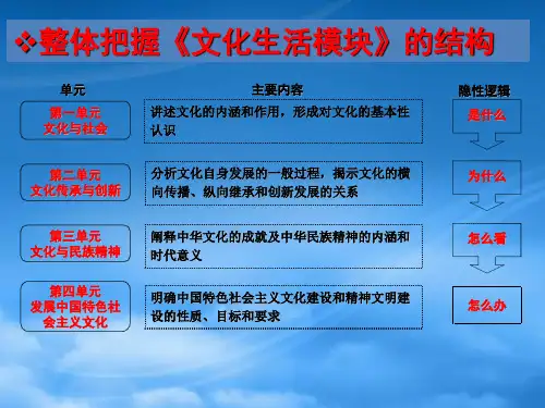 高考政治一轮复习 文化生活 第一课 文化与社会课件