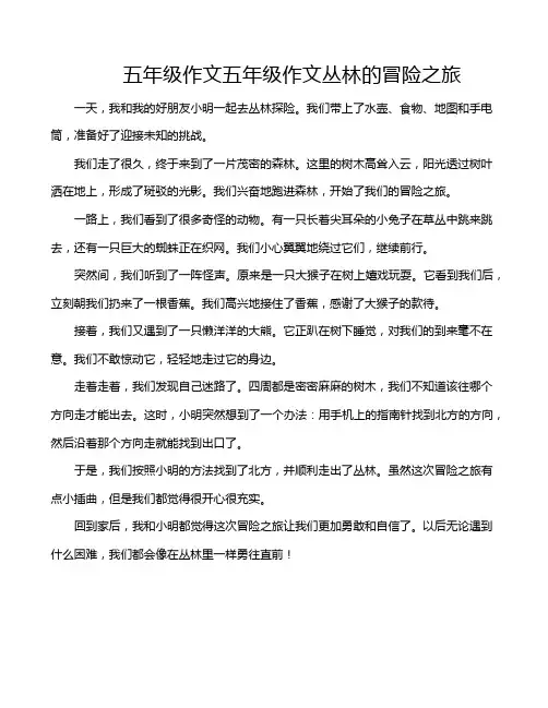 五年级作文五年级作文丛林的冒险之旅