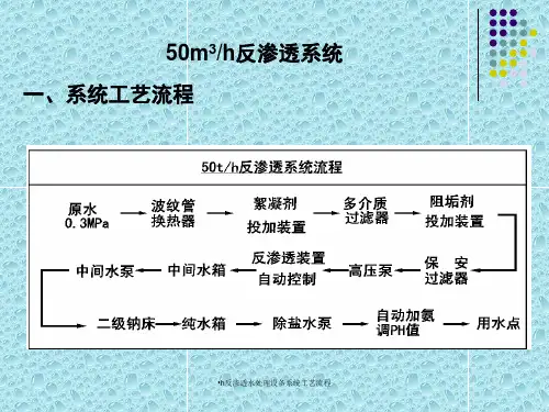h反渗透水处理设备系统工艺流程课件