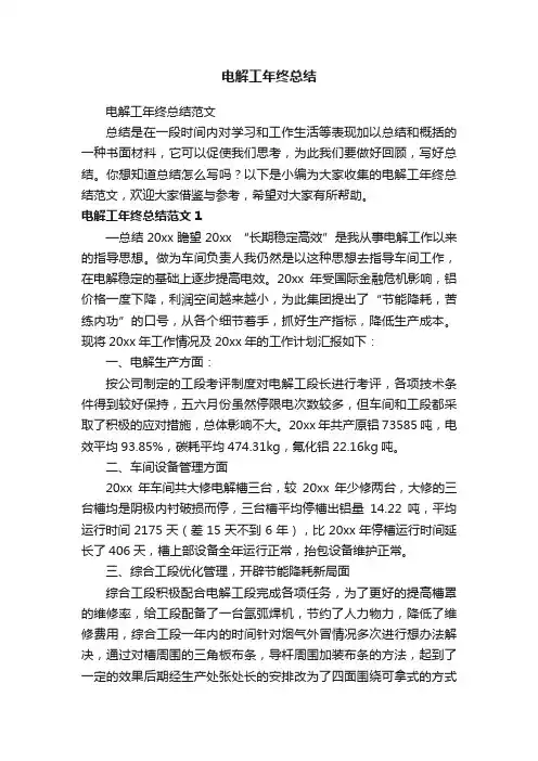 电解工年终总结范文