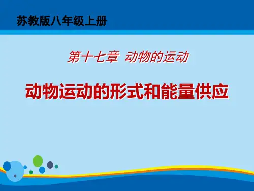 《动物的运动形式和能量供应》PPT课件【精选推荐课件】