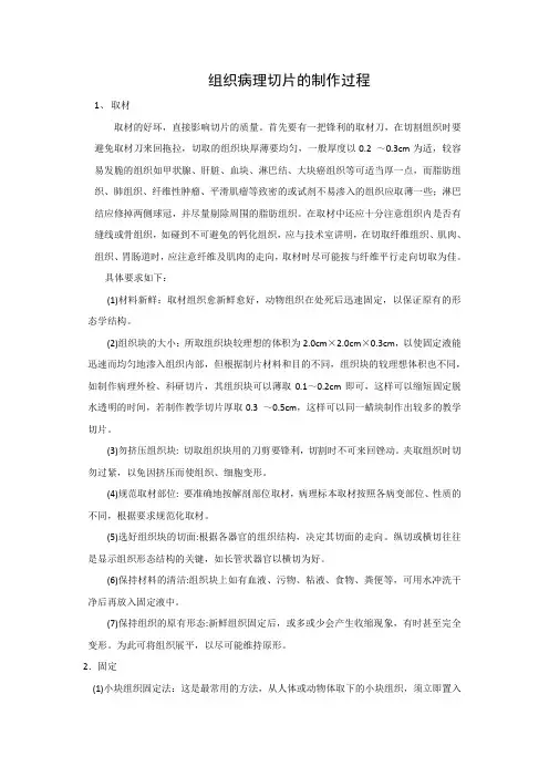 组织切片