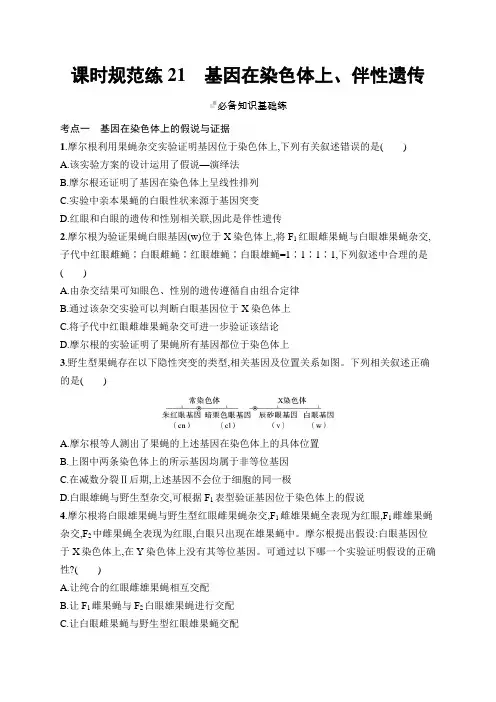 2025届高考生物一轮复习(人教版)课后习题课时规范练21基因在染色体上、伴性遗传