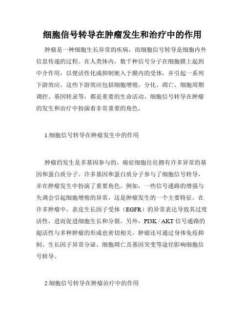 细胞信号转导在肿瘤发生和治疗中的作用