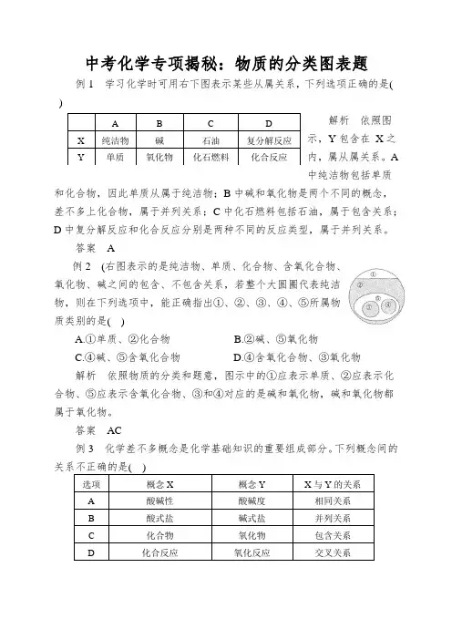 中考化学专项揭秘：物质的分类图表题