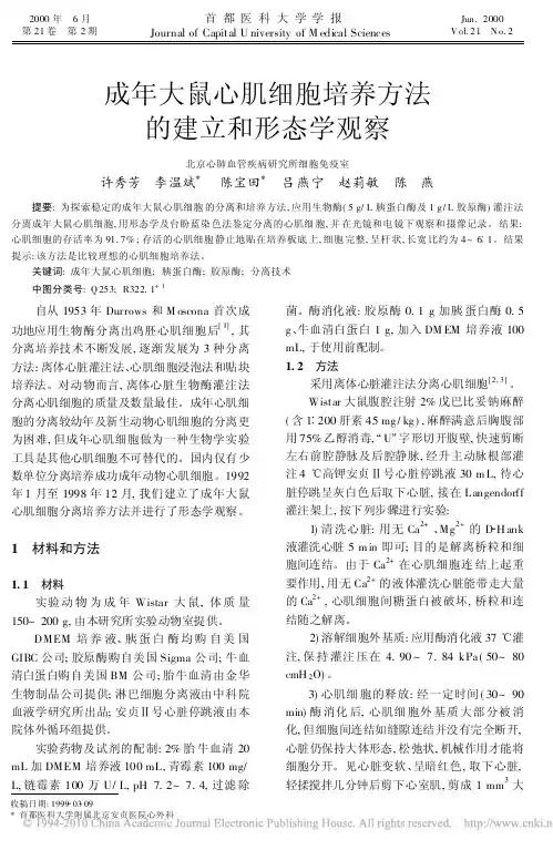 成年大鼠心肌细胞培养方法的建立和形态学观察
