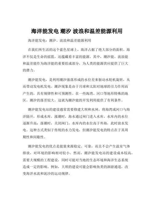 海洋能发电 潮汐 波浪和温差能源利用
