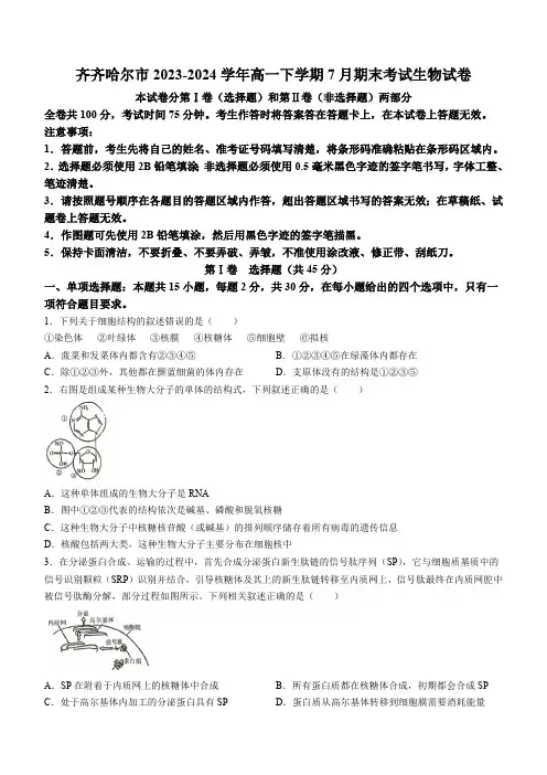 黑龙江省齐齐哈尔市2023-2024学年高一下学期7月期末考试生物学试题(含答案)