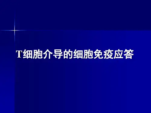 免疫学-T细胞介导的细胞免疫应答 