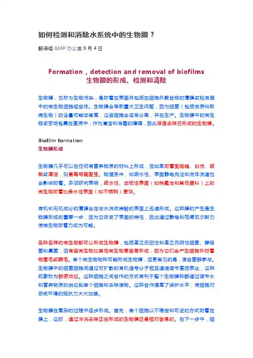 如何检测和消除水系统中的生物膜
