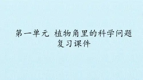 湘教版《植物角》专家课件1