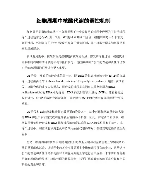 细胞周期中核酸代谢的调控机制