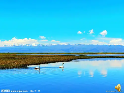 人教版八年级地理上册：1.3民族课件