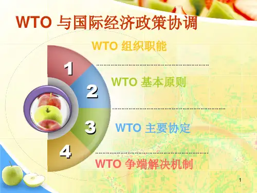 WTO-与国际经济政策协调PPT课件