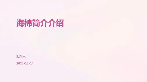海棉简介介绍