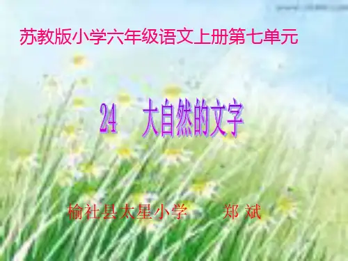 苏教版六年级上册大自然的文字课件_1