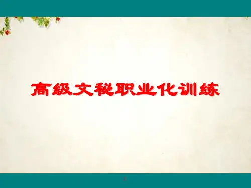 高级文秘职业化训练(ppt 28页)