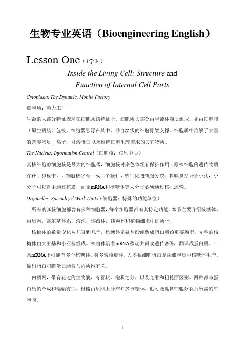生物专业英语(Bioengineering English)(中英文对照)