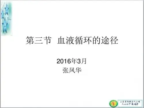 七年级生物血液循环途径课件